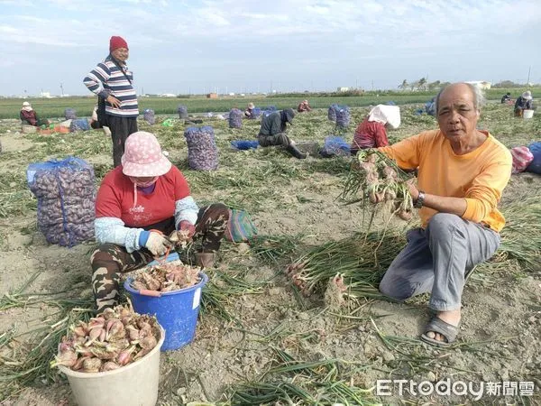 ▲年後蔥價大崩盤，讓蔥農喊苦，1斤價格比去年同期直接砍半，立委陳亭妃直接向農委會主委陳吉仲反映協助。（圖／記者林悅翻攝，下同）