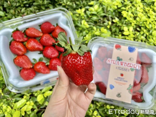 ▲▼7-11開賣新鮮草莓。（圖／記者周姈姈攝）