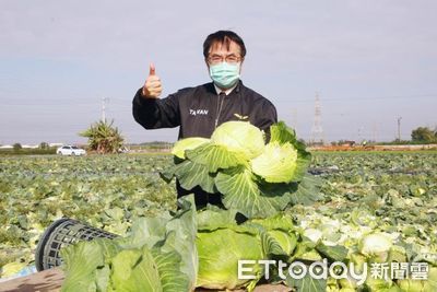 用行動挺菜農　黃偉哲號召企業團體認購高麗菜做公益