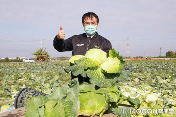 ▲台南市長黃偉哲體恤農民辛苦，發起用行動挺菜農認購活動，邀請企業及團體一起認購高麗菜。（圖／記者林悅翻攝，下同）