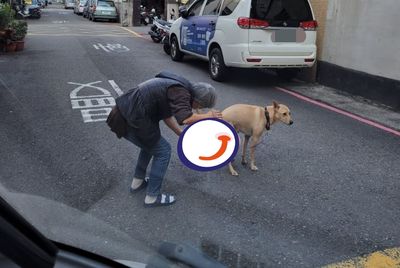 黃汪路中央炸屎「飼主1神物撈走」　6千人狂讚：專業接棒賽