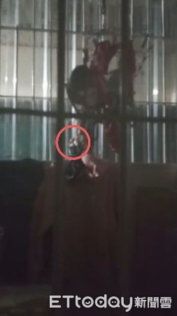 ▲▼高雄單身男起色心，下手偷走女子內褲。（圖／記者賴文萱翻攝）