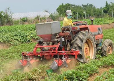 桃園農業生產資材補助　2022新增咖啡種植項目