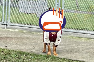 公園胸肌壯毛被邊緣! 「嘴邊掛2條液體」媽笑翻:難怪沒人跟你玩