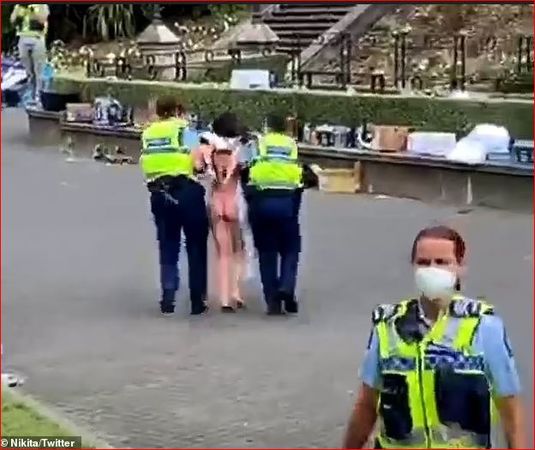 ▲▼ 紐西蘭全裸抗議女遭警察扯頭髮拖走            。（圖／翻攝自推特) 