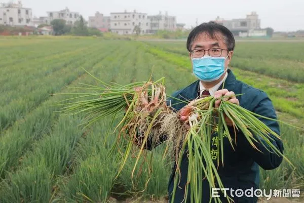 ▲台南市長黃偉哲發起認購活動，由財團法人台南市私立樂活社會福利慈善事業基金會及潘新傳主委，認購1000袋在地紅蔥頭，並將其贈予弱勢家庭，挺農民、助弱勢。（圖／記者林悅翻攝，下同）