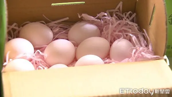 ▲▼雞蛋。（圖／記者陳雕文翻攝）