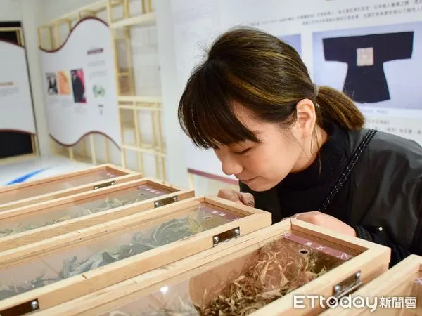 ▲台史館「人．流：眉溪流域成果特展」，建構五感體驗展區並推出聊天機器人導覽（下同）。（圖／國立臺灣歷史博物館提供）