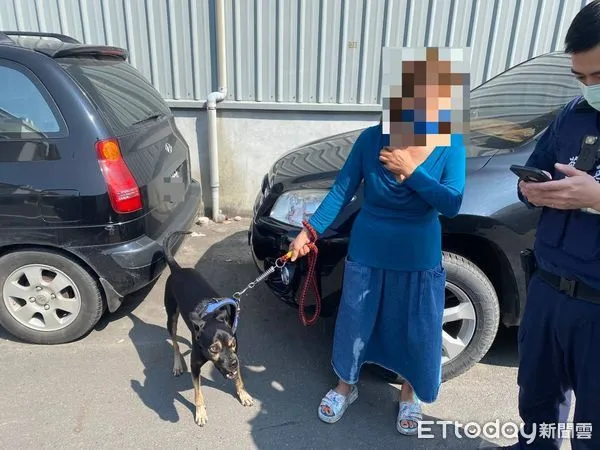 ▲台南市安南區64歲汪姓女子，偏好一款「好」字頭品牌拖把，竟連續2次行竊他人拖把組，市警三分局據報，依據她帶「小黑狗」犯案的特徵將她查獲。（圖／記者林悅翻攝，下同）