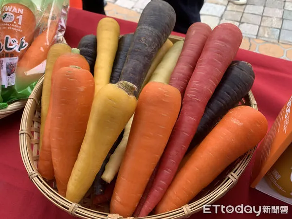 ▲東勢鄉公所今日邀請VDS胡蘿蔔代言人「蔔蔔」為「國際臺灣蘿蔔日」活動宣傳。（圖／記者蔡佩旻翻攝）