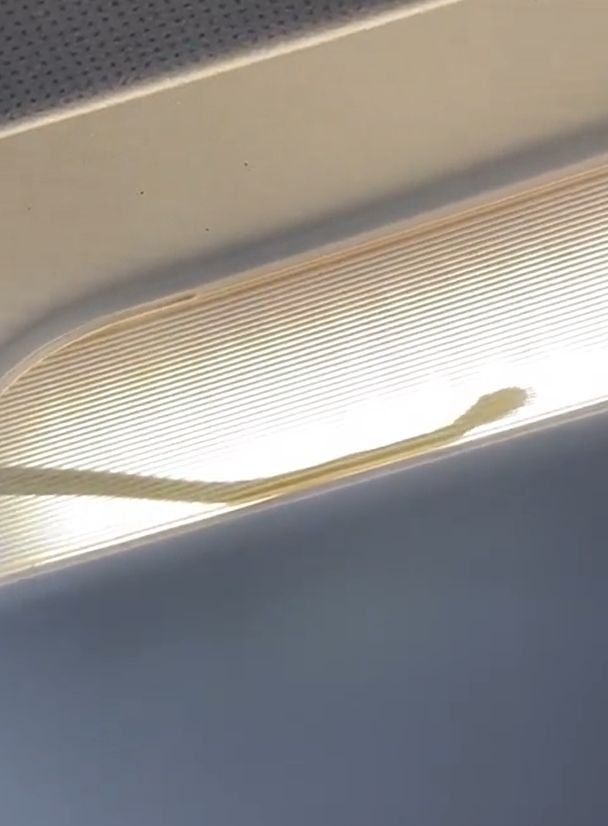▲▼飛機上真的有蛇。（圖／翻攝推特）