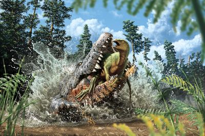 澳洲發現「白堊紀鱷魚新品種」！超兇悍「捕食恐龍當晚餐」