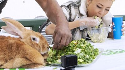大胃王PK巨兔「看誰吃最多生菜」！比賽結果出爐　網笑：牠真的知道正在參賽嗎