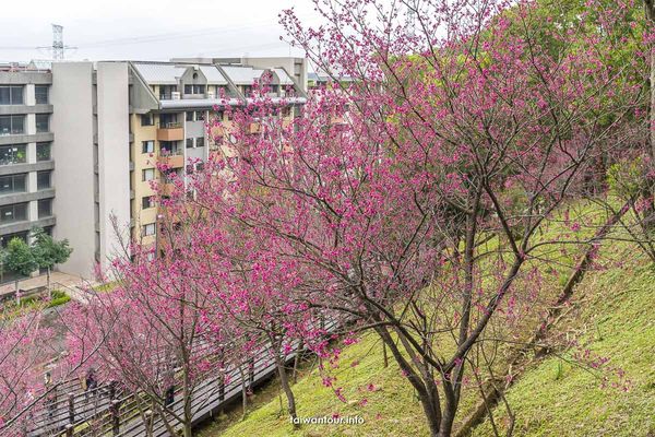 ▲▼長庚養生文化村。（圖／跟著領隊玩授權提供，下同，請勿隨意翻攝以免侵權）