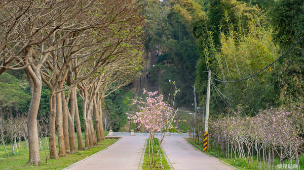 ▲▼台南山上花園水道博物館「淨水池區」。（圖／懷陞足跡授權提供，下同，請勿隨意翻攝以免侵權）