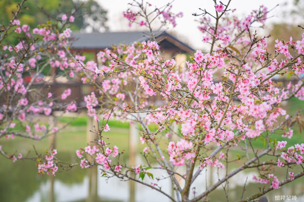 ▲▼台南山上花園水道博物館「淨水池區」。（圖／懷陞足跡授權提供，下同，請勿隨意翻攝以免侵權）