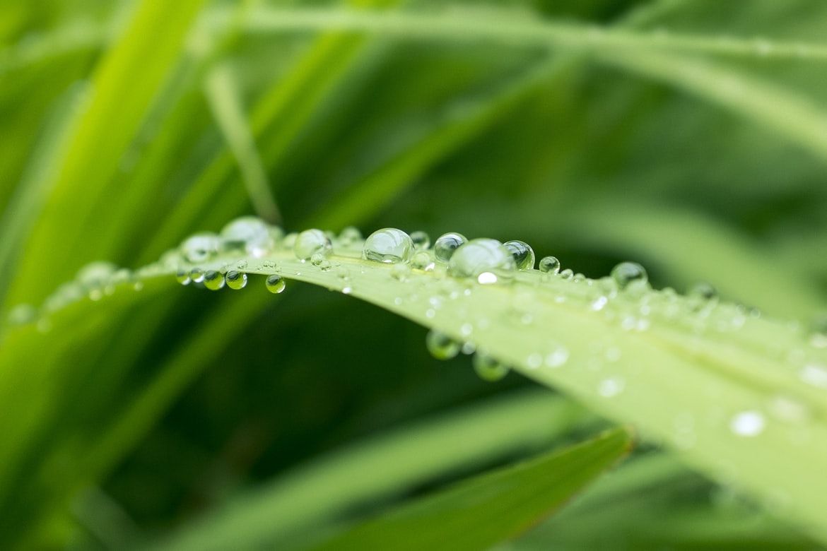 ▲節氣運勢       。（圖／翻攝自免費圖庫unsplash）