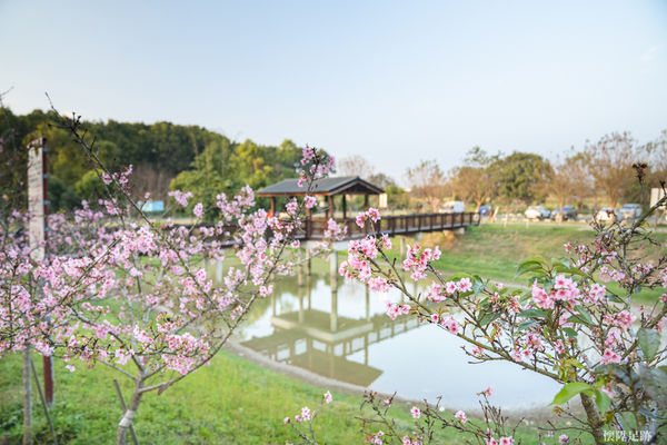 ▲▼台南山上花園水道博物館「淨水池區」。（圖／懷陞足跡授權提供，下同，請勿隨意翻攝以免侵權）