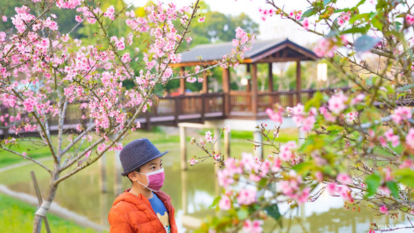 ▲▼台南山上花園水道博物館「淨水池區」。（圖／懷陞足跡授權提供，下同，請勿隨意翻攝以免侵權）