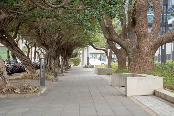 ▲光復路2公里科技綠廊年底全線完工。（圖／新竹市政府提供）