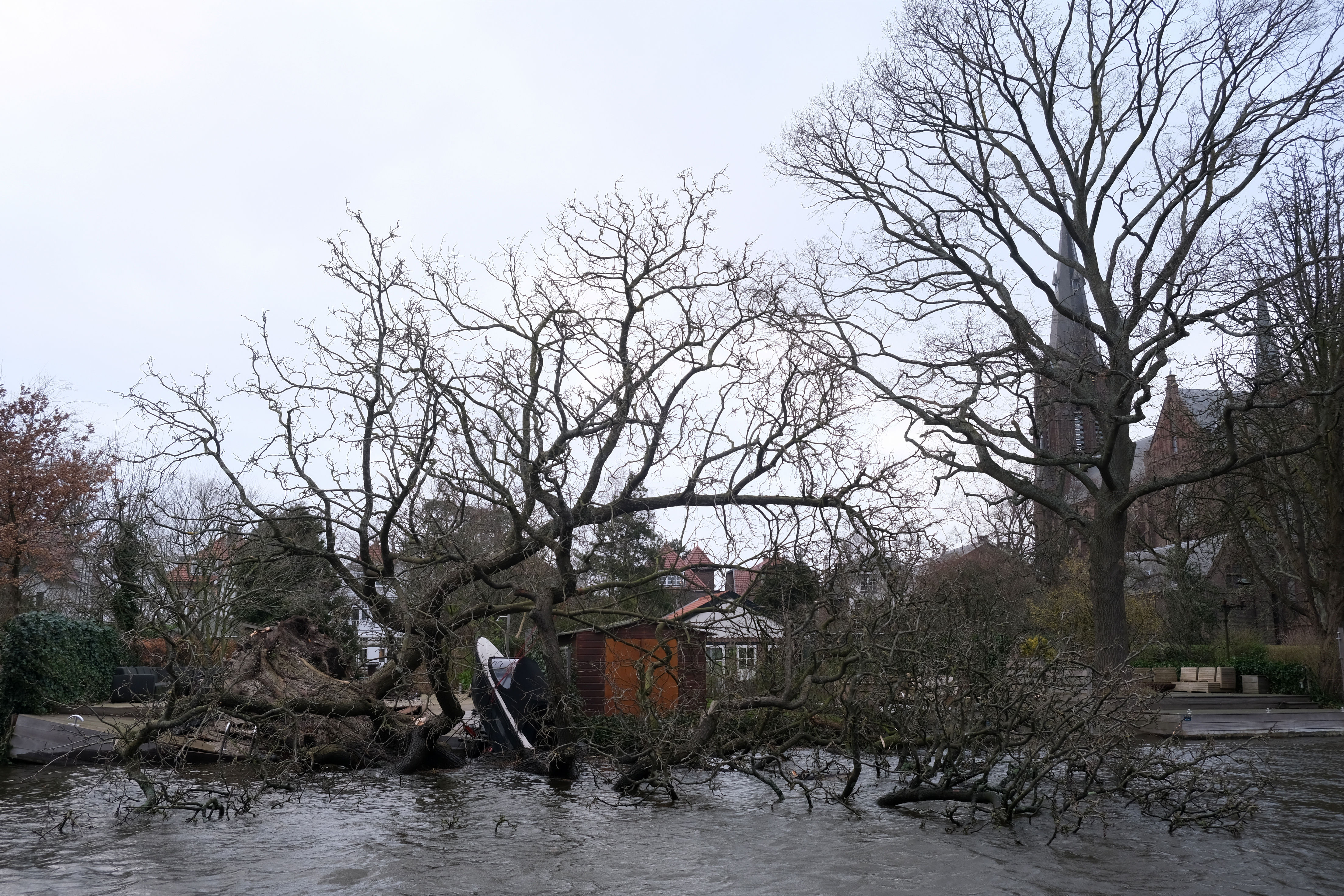 ▲▼英國至少有4人因暴風尤尼斯侵襲而遭路樹倒塌壓死、或因碎片撞擊身亡。（圖／達志影像／美聯社）