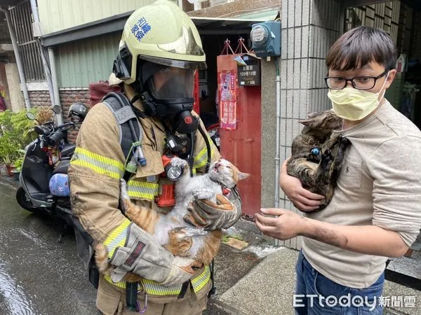 ▲台南市消防人員成功救出受困火場的3隻貓，屋主十分感謝。（圖／民眾提供，下同）