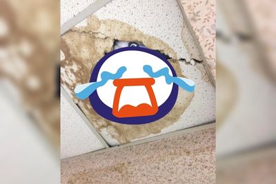 衝公廁解決生理需求　一抬頭「跟他對到眼」嚇壞：全部出來了…