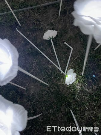 ▲台南市永華市政中心旁的西拉雅廣場，布置逾3萬朵白色玫瑰花燈「浪漫花海」，自開展以來經常有民眾闖入拍照踩踏摘採，造成展品損壞。（圖／記者林悅翻攝，下同）