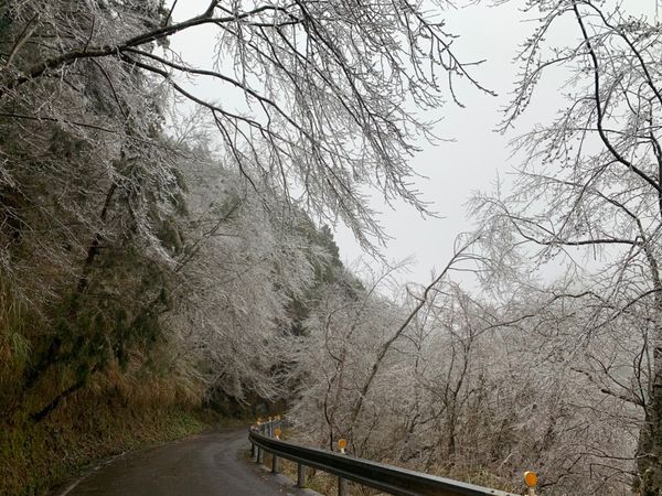 ▲▼太平山零下1度未降雪。（圖／翻攝自Facebook／太平山國家森林遊樂區）