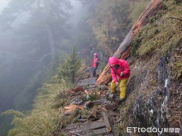 ▲玉山主峰線步道72號棧橋遭枯倒木擊中損毀（下同）。（圖／翻攝「玉山國家公園」臉書粉專）