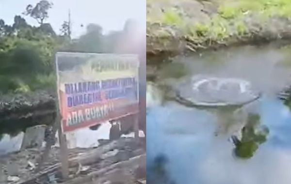 男河邊洗澡被4公尺巨鱷攻擊　掙扎拖入水中「活活吃掉」畫面曝光。（圖／翻攝自YouTube／ALINK TV）