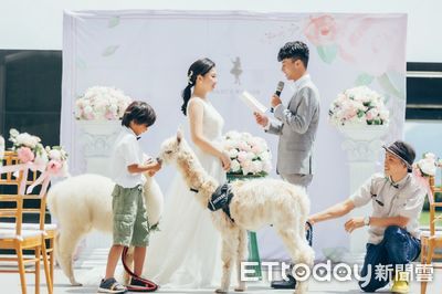綠舞打造全台唯一日系夢幻「羊駝戶外婚禮」　讓療癒萌寵見證永恆愛情