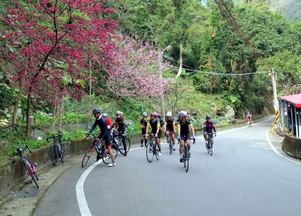 ▲2022北橫櫻花勇士單車完騎認證，受理報名。（圖／資料照／市府提供）