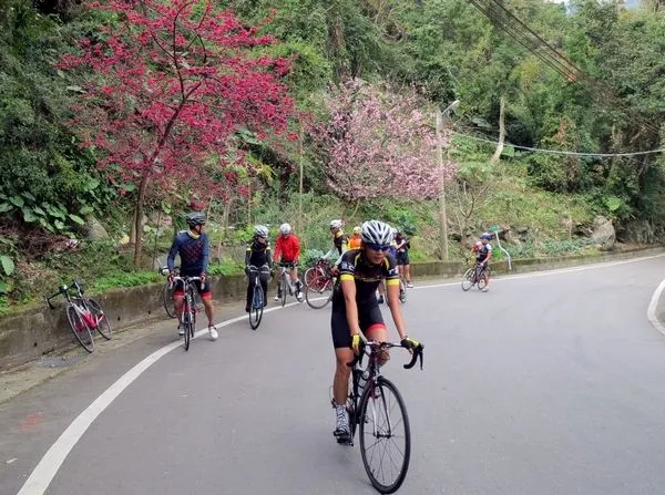 ▲2022北橫櫻花勇士單車完騎認證，受理報名。（圖／資料照／市府提供）