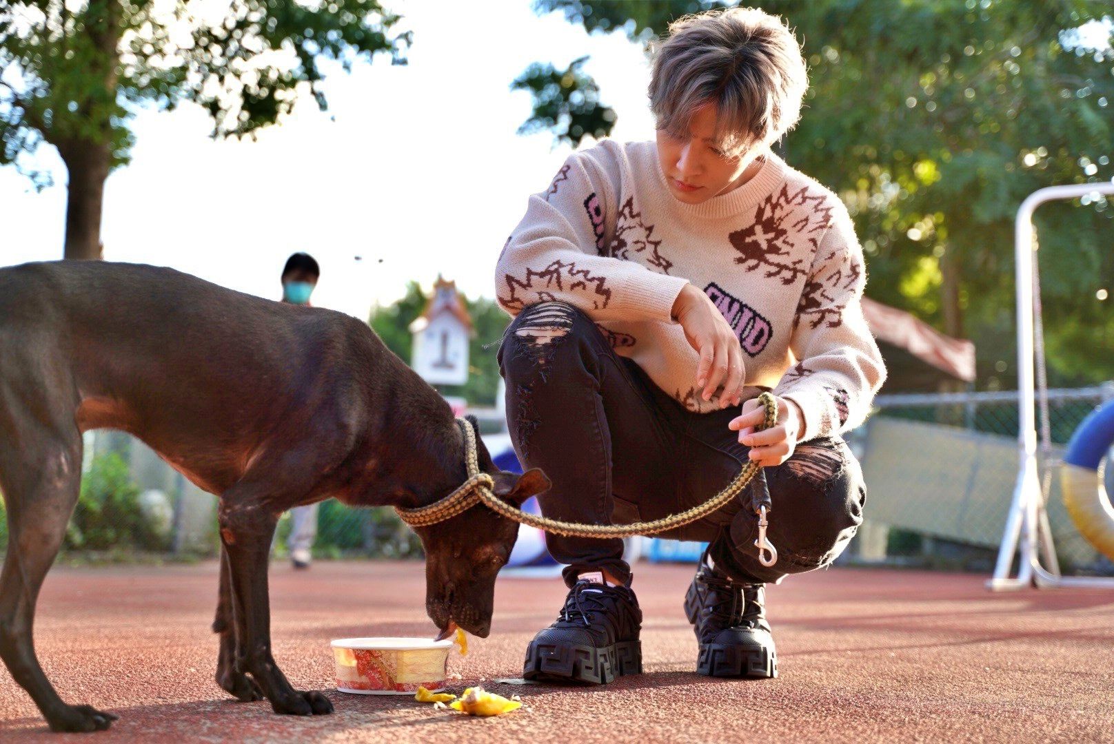 ▲新北動物保護自治條例23日上路 遛狗未繫繩最高罰1萬5000元。（圖／新北市動保處提供）