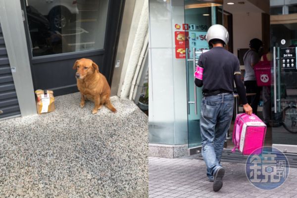 一名客人點外送要求「放在狗狗旁邊」，讓外送員被萌翻。（左圖翻攝自「外送員的奇聞怪事」臉書；右為示意圖，本刊資料照）