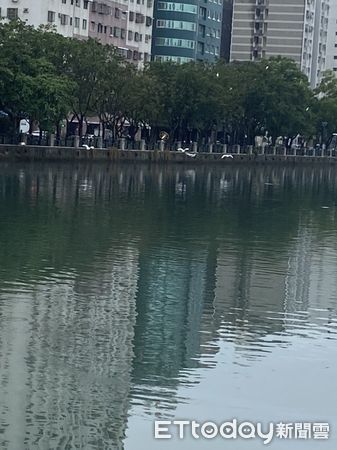 ▲台南市議員李啟維指出，台南運河下雨之後，水面不再有漁屍表示高度肯定。（圖／記者林悅翻攝，下同）