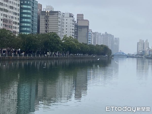 ▲台南市議員李啟維指出，台南運河下雨之後，水面不再有漁屍表示高度肯定。（圖／記者林悅翻攝，下同）