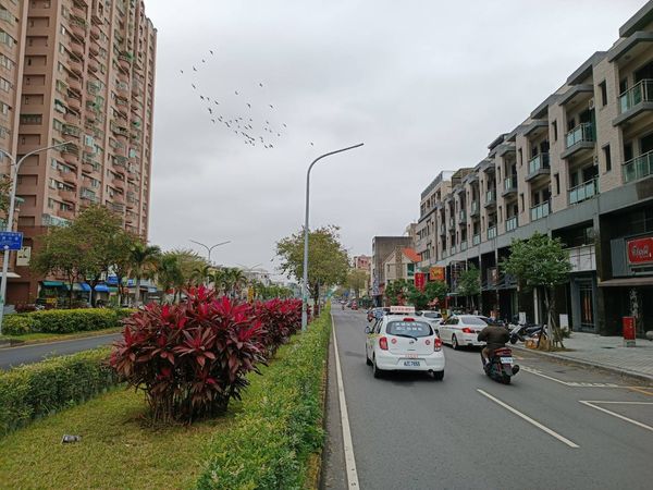 ▲▼東森房屋,嘉義市景。（圖／業者提供）