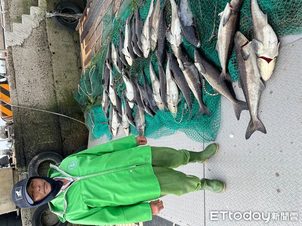 ▲▼ 災害浮現 澎湖箱網養殖業者損失百萬 花生也全軍覆沒。（圖／記者陳韋男攝）