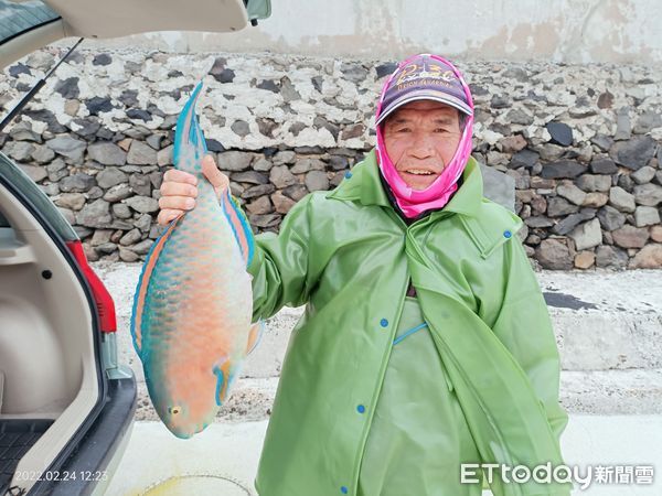 ▲▼ 災害浮現 澎湖箱網養殖業者損失百萬 花生也全軍覆沒。（圖／記者陳韋男攝）