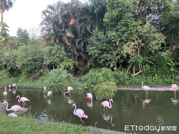 ▲▼台北市立動物園。（圖／記者董美琪攝）