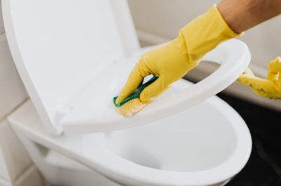 為了乾淨用「馬桶座墊」只是自我安慰？　專家揭弊病：清潔更累、細菌更多