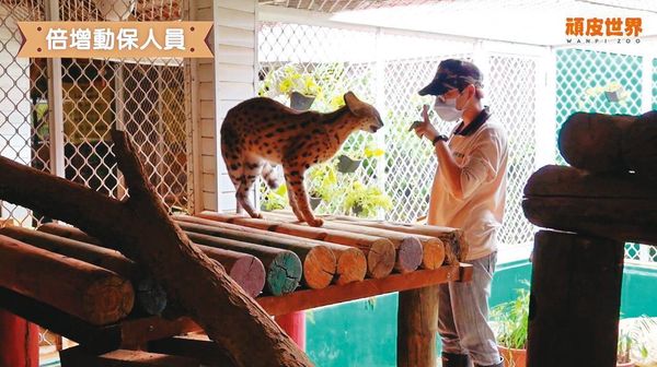 頑皮世界是南台灣最大私人動物園，已對李天怡等人提告詐欺等罪，並終止長頸鹿復育基地計畫。（翻攝YouTube頑皮世界動物園）