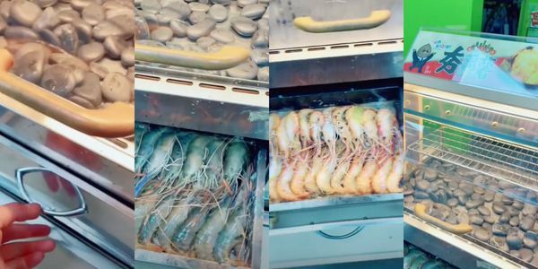 ▲▼             。（圖／翻攝自Facebook／記者新聞網）