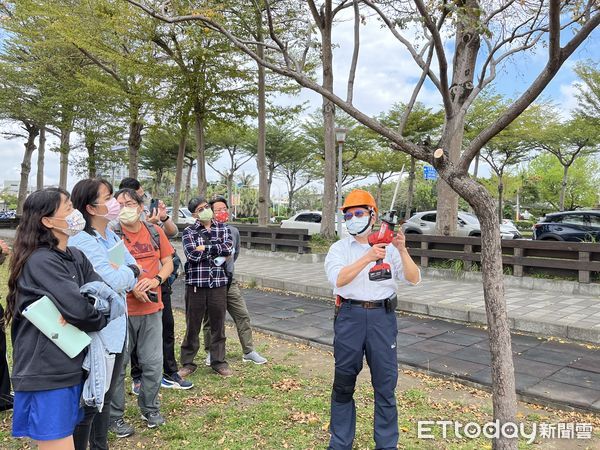 ▲守護校園老樹。（圖／記者楊漢聲翻攝）