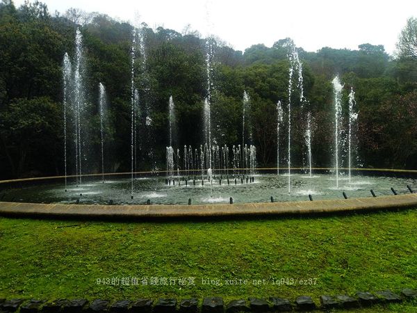 ▲▼陽明山花季。（圖／943的超值省錢旅行秘笈提供）