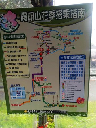 ▲▼陽明山花季。（圖／943的超值省錢旅行秘笈提供）