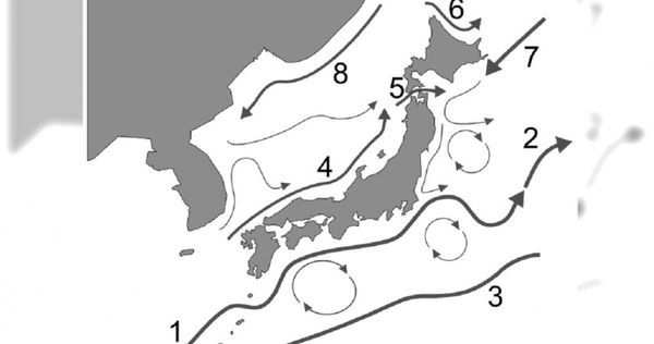 日本沿岸出現4千支俄文針筒　網「對照洋流圖」驚揭恐怖真相
