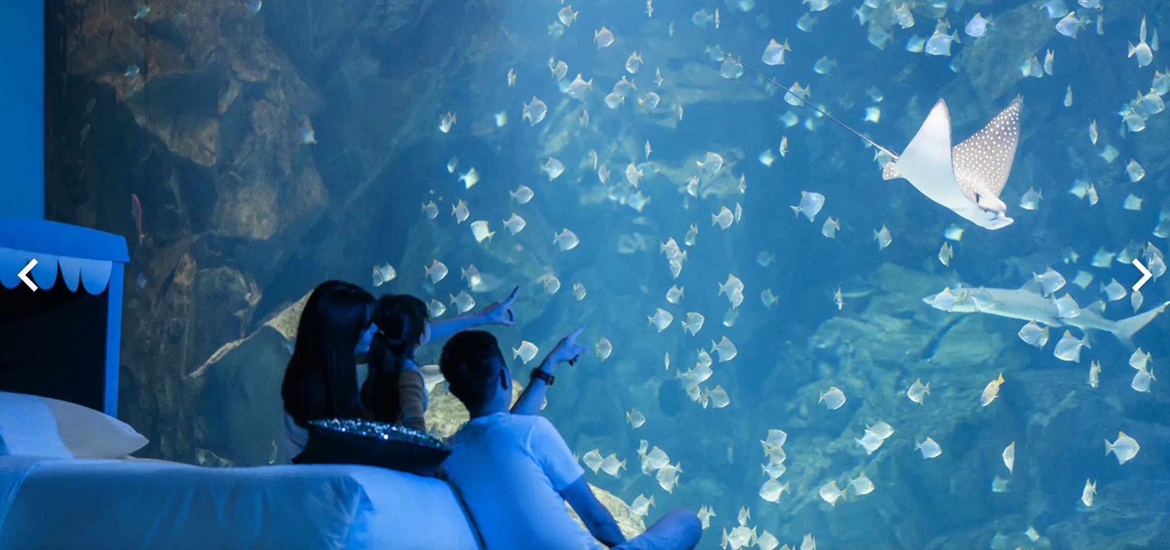 星級海洋系夜宿 住xpark 宿曦小窩 吃和逸餐君悅推笑笑羊房 Ettoday旅遊雲 Ettoday新聞雲